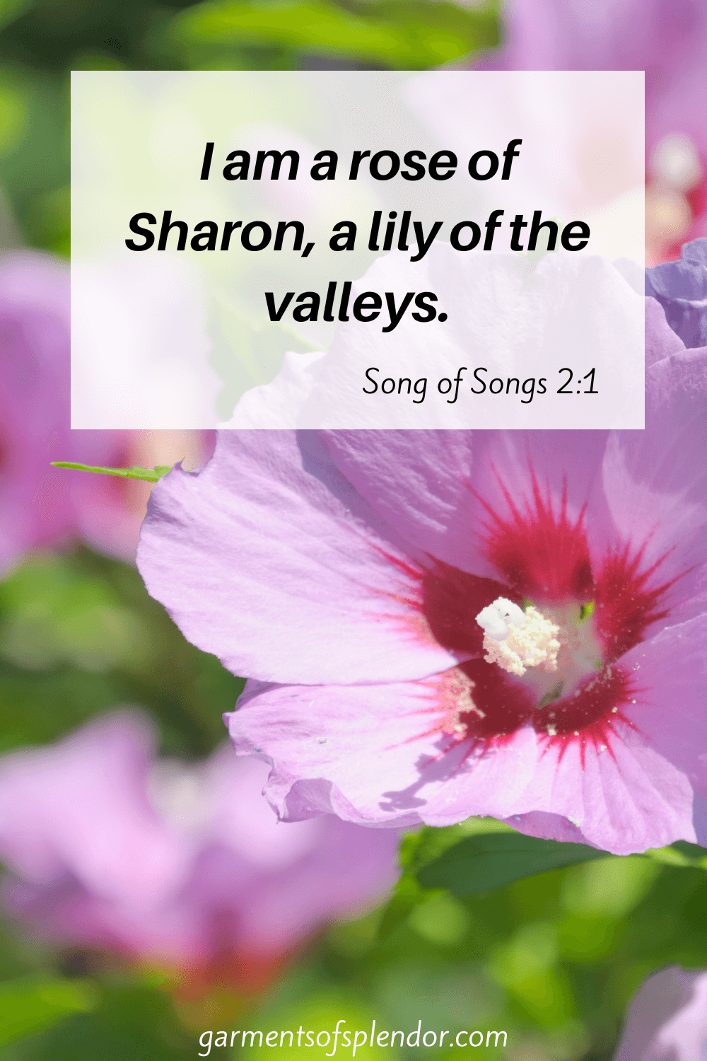 38 Encouraging Bible Verses About Flowers (with Free Printable)