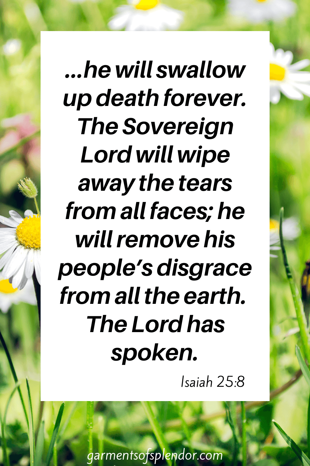 65 Powerful Bible Verses About the Resurrection (with Free Printables)